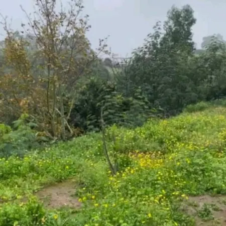 Сasa de vacaciones Casa Parque Doramas Moya (Gran Canaria)