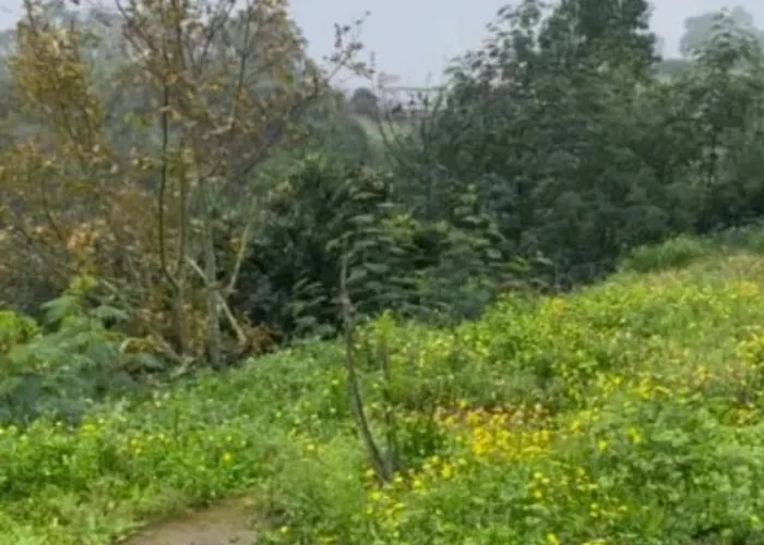 בית נופש Casa Parque Doramas Moya (Gran Canaria)